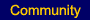 Browse Our Community Section